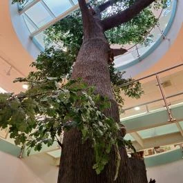 Magyar Természettudományi Múzeum Mátra Múzeuma, Gyöngyös - Belső