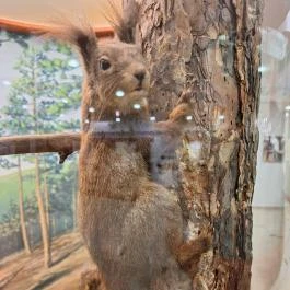 Magyar Természettudományi Múzeum Mátra Múzeuma, Gyöngyös - Egyéb