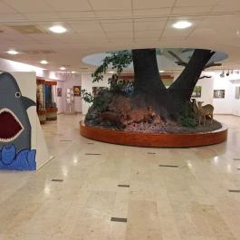 Magyar Természettudományi Múzeum Mátra Múzeuma, Gyöngyös - Belső