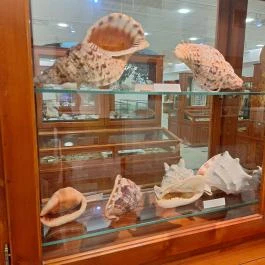 Magyar Természettudományi Múzeum Mátra Múzeuma, Gyöngyös - Egyéb