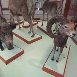 Magyar Természettudományi Múzeum Mátra Múzeuma, Gyöngyös - Egyéb