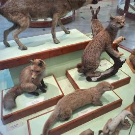 Magyar Természettudományi Múzeum Mátra Múzeuma, Gyöngyös - Egyéb