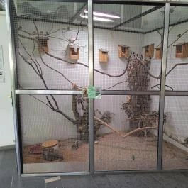 Magyar Természettudományi Múzeum Mátra Múzeuma, Gyöngyös - Egyéb