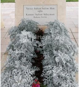 Magyar-Török Barátság Park