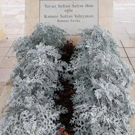 Magyar-Török Barátság Park, Szigetvár - Egyéb