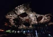 Magyar Zene Háza Budapest