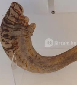 Magyar Zsidó Múzeum és Levéltár