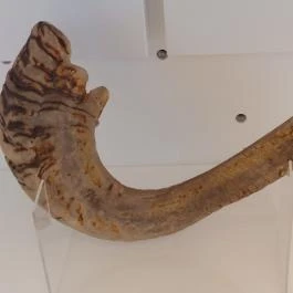 Magyar Zsidó Múzeum és Levéltár Budapest - Egyéb