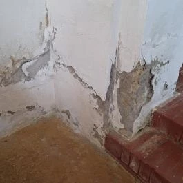 Magyarok Nagyasszonya római katolikus templom Murga - Egyéb