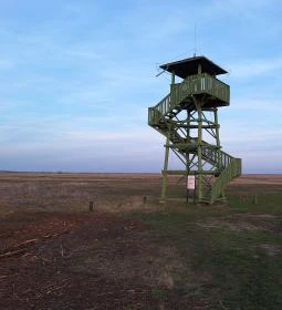 Makói úti kilátó