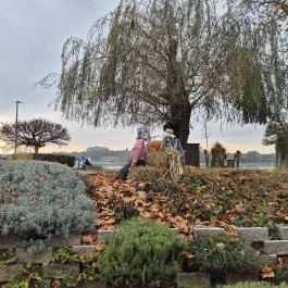 Malom & Kacsa - Bisztró, Kávézó & Rendezvényház, Tata - Külső kép