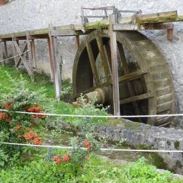 Malommúzeum Orf? - Egyéb