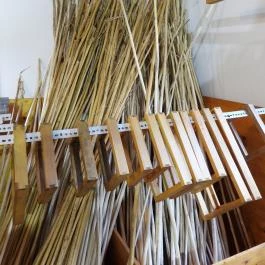 Malommúzeum Orf? - Egyéb