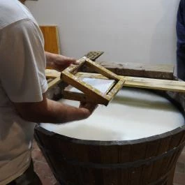 Malommúzeum Orf? - Egyéb