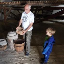 Malommúzeum Orf? - Egyéb