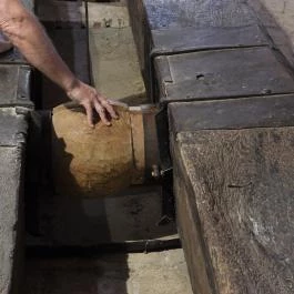 Malommúzeum Orf? - Egyéb