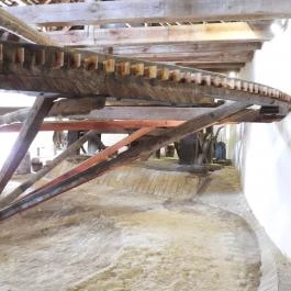 Malommúzeum Orf? - Egyéb