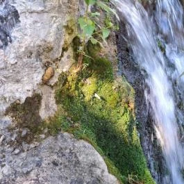 Malommúzeum Örvényes - Egyéb