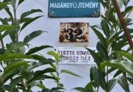 Mályinka