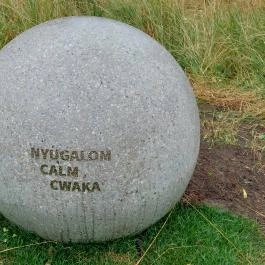 Mandela park, Budapest - Egyéb