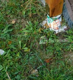 Mánfagyöngy Vendégház