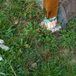 Mánfagyöngy Vendégház Mánfa - Egyéb