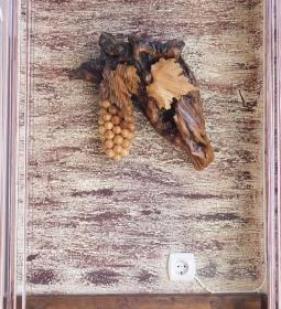 Margaréta Étterem & Panzió 