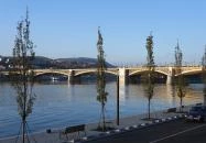 Margit híd Budapest