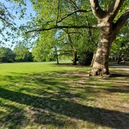 Margit-sziget Budapest - Külső kép