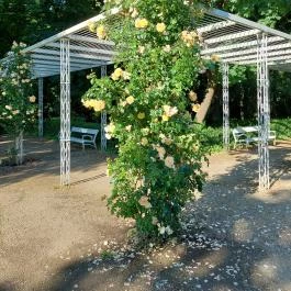 Margit-sziget Budapest - Külső kép