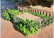 Árpád-házi Szent Margit sírja Budapest