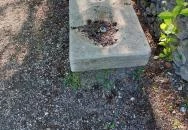 Középkori domonkosrendi kolostor és királyi udvarház Budapest