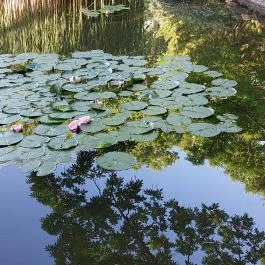 Margitszigeti Japánkert Budapest - Külső kép