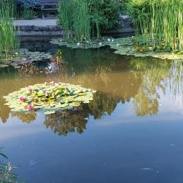 Margitszigeti Japánkert Budapest - Külső kép