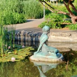 Margitszigeti Japánkert Budapest - Külső kép