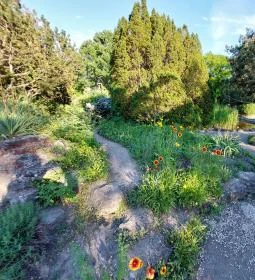 Margitszigeti Japánkert