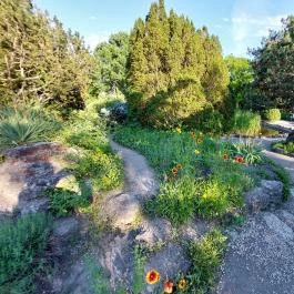 Margitszigeti Japánkert Budapest - Külső kép