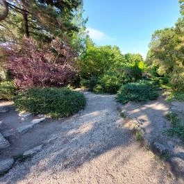 Margitszigeti Japánkert Budapest - Külső kép