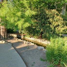 Margitszigeti Japánkert Budapest - Külső kép