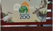 Margitszigeti Vadaspark Budapest - Egyéb