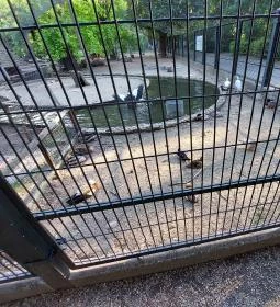 Margitszigeti Vadaspark 