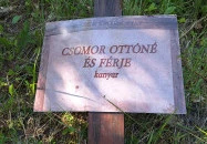 Mária emlékhely Vágáshuta