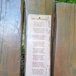 Mária emlékhely, Vágáshuta - Egyéb