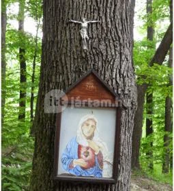 Mária-kegyhely, Szentkút