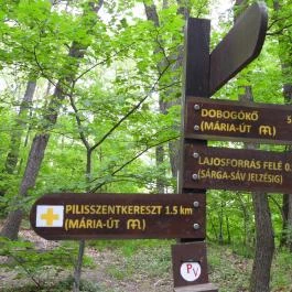 Mária-kegyhely, Szentkút, Pilisszentkereszt - Egyéb