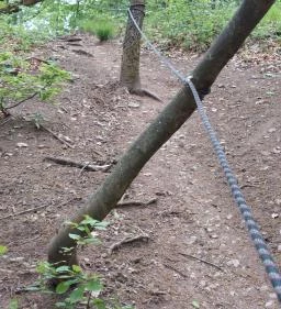 Mária-kegyhely, Szentkút