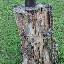 Mária-kert, Kozárd - Egyéb