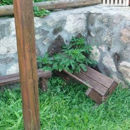 Mária-kert, Kozárd - Egyéb