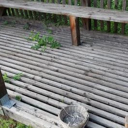 Mária-kert, Kozárd - Egyéb