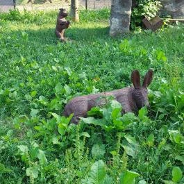 Mária-kert Vanyarc - Egyéb
